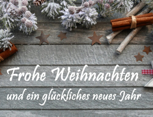 Frohe Weihnachten & einen guten Rutsch ins neue Jahr